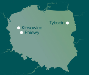 Polish factory locations